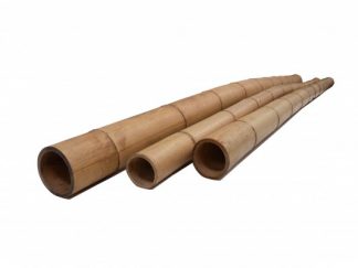 Bamboe palen